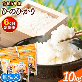 【ふるさと納税】【令和5年産 6ヶ月定期便】研がずに炊ける！ ひのひかり 無洗米 10kg 2kg×5袋 計6回お届け 鮮度保持パック詰め合わせ くまモン袋入り 株式会社 九州食糧《お申込み月翌月から出荷開始》洗わなくてOK 精米 白米 コメ 小分け 訳あり 定期便