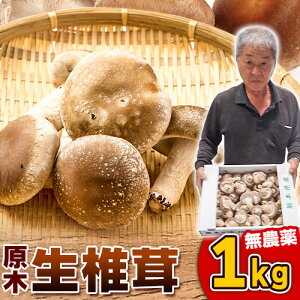 yӂ邳Ɣ[Łz ő ő 1kg rؔ_Ys11{`3{oח\tF{ D ؒő 