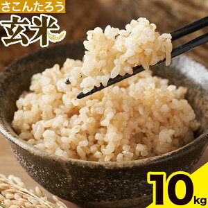 yӂ邳Ɣ[Łz 5kg 10kg 񂽂낤s90ȓɔ\(yj)tF{ D R  ͂ F{Y