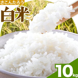 yӂ邳Ɣ[Łz 5kg 10kg 񂽂낤s90ȓɔ\(yj)tF{ D R   ͂ F{Y