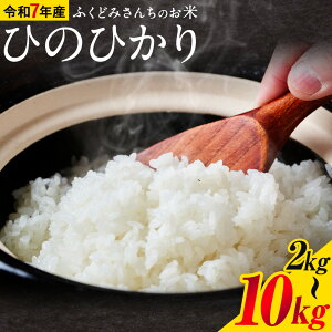yӂ邳Ɣ[Łzߘa7NY    ӂǂ݂񂿂̂ Ђ̂Ђ 2kg 4kg 6kg 8kg 10kg F{Y Ds30ȓɏoח\(yj)tF{ D R  F{ D D 