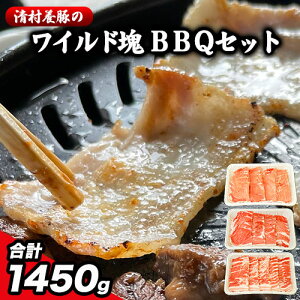 yӂ邳Ɣ[ŁzChBBQZbg v1450g {؁s30ȓɏoח\(yj)t   Ⓚ  F{D J^  o o[xL[ F{ D