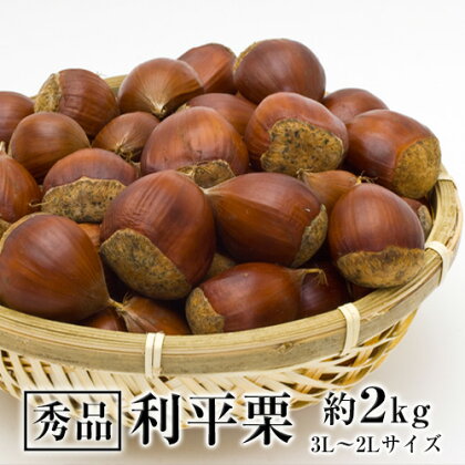 記事番号:99/アイテムID:357749の画像