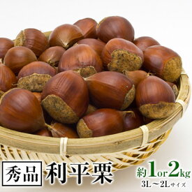【ふるさと納税】【先行予約】利平栗 熊本県御船町産限定 約1 or 2kg(3L-2Lサイズ)　秋 旬 野菜 予約 スイーツ きんとん 甘露煮 渋皮煮 栗ご飯 熊本県御船町《2026年9月上旬-2026年10月上旬頃出荷》