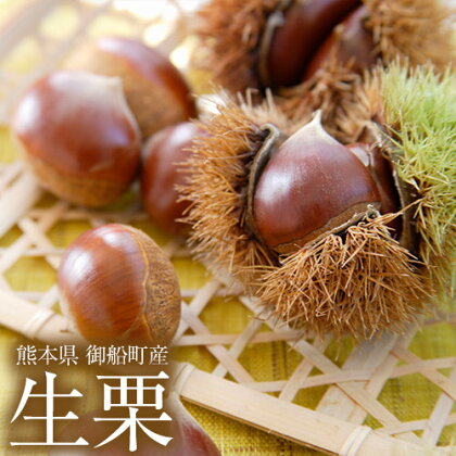 記事番号:99/アイテムID:357732の画像