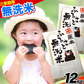【ふるさと納税】 ご家庭用 熊本ふるさと無洗米12kg 熊本県産 無洗米 12kg 精米 御船町《6月下旬-8月上旬頃より順次出荷》 10kg以上 米 コメ 令和2年産