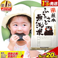 【ふるさと納税】総合1位！ ≪1-5営業日以内発送≫ 無洗米 高レビュー ...