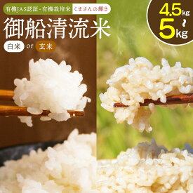 【ふるさと納税】令和7年産 御船清流米 くまさんの輝き 白米 4.5kg 玄米 5kg みふね有機の里《11月上旬から順次出荷》熊本県御船町 有機JAS認証 有機栽培米