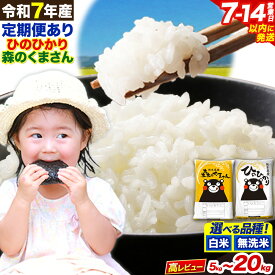 【ふるさと納税】新米 令和7年産 無洗米 も選べる ひのひかり 森のくまさん 5kg 10kg 15kg 20kg 《出荷時期をお選びください》 高レビュー 熊本県産 無洗米 白米 精米 ひの 米 こめ ふるさとのうぜい ヒノヒカリ コメ 熊本米ひのもり 食べ比べ 定期便