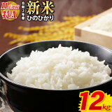 ひのひかり 令和2年産 新米 12kg(6kg×2袋) 