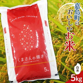 【ふるさと納税】FK7-0194 【令和7年度産】【先行予約】嘉島町のおいしいお米（くまさんの輝き/白米） 5kg