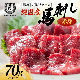 【ふるさと納税】純国産馬 赤身 70g 肉 馬肉 馬刺し 熊本県 熊本 嘉島 FK7-0213