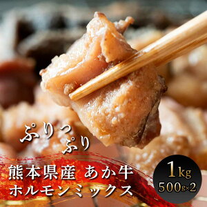yӂ邳Ɣ[Łztz v1kg(500g×2pbN) uh  t z AJZ}C    Ⓚ ܂ Ă o[xL[ BBQ AEghA FKK19-217