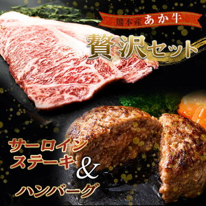 yӂ邳Ɣ[ŁzґZbg゠T[CXe[L v440g(220g×2)100gpno[O(100g×10) Zbg l uh  a FKK19-266