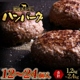 【ふるさと納税】＼選べる容量／家計応援！肥後あか牛入り手作りハンバーグ100g 12個 24個 あか牛 和牛 ハンバーグ 個包装 小分け 牛肉 赤身 牛 肉 ご当地 グルメ お弁当 おかず 食品 FKK19-396var