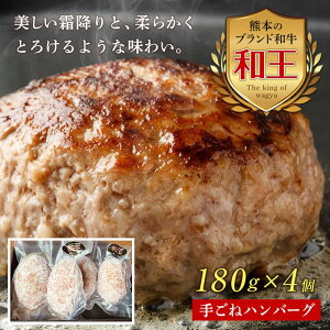 yӂ邳Ɣ[ŁzF{a100育˃no[O4Zbg v720g(180g×4) јa a uh 育 no[O    n O  ٓ Hi FKK19-532