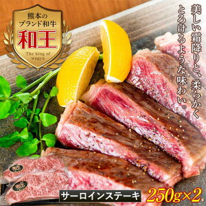 yӂ邳Ɣ[ŁzF{a T[CXXe[L v500g(250g×2) јa a uh T[C Xe[L    n O Hi FKK19-529