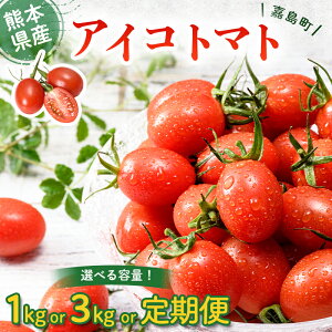 yӂ邳Ɣ[Łz ÓYACRg}g eʂƉ񐔂Iׂ 1kg or 3kg  Yn Y L@엿 Â t[eB[ ~jg}g v`g}g Rs VN tbV T_ H 