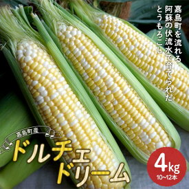 【ふるさと納税】【先行予約】嘉島町産ドルチェドリーム4kg ※令和8年4月中旬より発送開始 野菜 とうもろこし トウモロコシ 甘い ジューシー ドルチェドリーム 嘉島町 FK7-0231