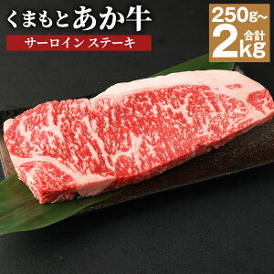 yӂ邳Ɣ[Łz܂  T[CXe[L 250g/500g/1kg/1.5kg/2kg Iׂe \[XEӞt  a  2ȏ Ⓚ F{Y Y  yVX[p[SALE 