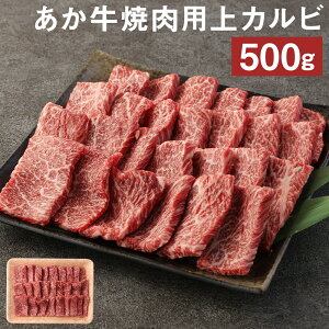 yӂ邳Ɣ[Łz ēp Jr 500g Ă GI Ԑg   F{Y BY Y Ⓚ  yVX[p[SALE 9J