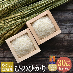 yӂ邳Ɣ[Łzy6ցzЂ̂Ђ 5kg×6񂨓͂ v30kg  т̗F 3ܕt   ӂ肩 ̗͂F F{Y BY y2025N10{1ڂ̔\z