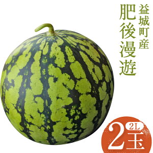 yӂ邳Ɣ[ŁzXCJ 㖟V 7kg×2 v14kg 2LTCY  t[c ʕ v钬Y F{Y BY  y2026N4{`6{\z
