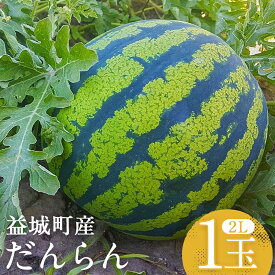 【ふるさと納税】スイカ だんらん 約7kg 1玉 2Lサイズ すいか フルーツ 果物 益城町産 熊本県産 九州産 送料無料 【2026年4月下旬～6月下旬迄発送予定】