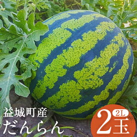 【ふるさと納税】スイカ だんらん 約7kg×2玉 合計約14kg 2Lサイズ すいか フルーツ 果物 益城町産 熊本県産 九州産 送料無料 【2026年4月下旬～6月下旬迄発送予定】