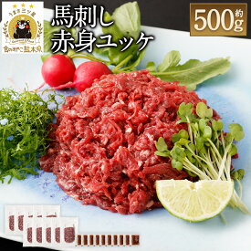 【ふるさと納税】鮮馬刺し赤身ユッケ10個セット 合計約500g 約50g×10パック 15000円 1万5000円 馬ユッケ たれ付き 真空パック 線切り 赤身 馬刺 馬刺し 熊本馬刺し ばさし 千興ファーム 冷凍 送料無料
