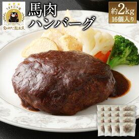 【ふるさと納税】馬肉ハンバーグ 16個セット 合計約2kg 130g×16個 ご家庭用 ハンバーグ 菅乃屋 千興ファーム 熊本 馬肉 惣菜 おかず 真空パック 冷凍 送料無料