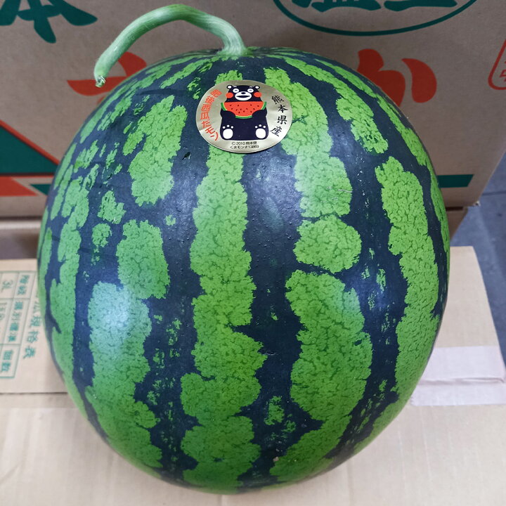 楽天市場 ふるさと納税 熊本県益城町産 大玉スイカ 2玉入り 1玉約6kg スイカ すいか 果物 フルーツ 西瓜 熊本県産 九州産 国産 送料無料 22年6月上旬より順次発送予定 熊本県益城町
