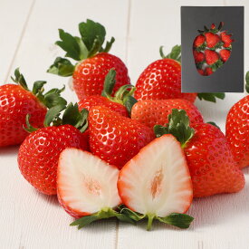 【ふるさと納税】益城産 いちご 約500g 贈答箱入り 品種おまかせ 果物 フルーツ 苺 ギフト 贈り物 益城町産 熊本県産 九州産 冷蔵 【2026年1月上旬より順次発送】