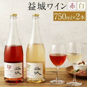 yӂ邳Ɣ[Łzv郏C 2{Zbg 750ml×2{ ԃC C 2 ݔ C smEm[ Vhl  AR[ v钬 F{  yVX[p[SALE 9J