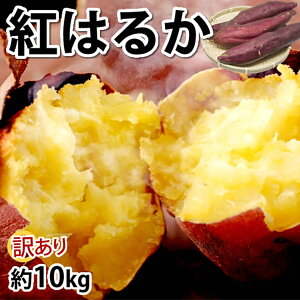 yӂ邳Ɣ[Łz󂠂 g͂邩 5kg/10kg Iׂe ׂɂ͂邩 ܂   ƒp v钬Y F{Y BY 