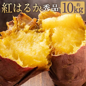 yӂ邳Ɣ[Łzg͂邩 Gi 10kg S`2L ׂɂ͂邩 ܂ g    v钬Y F{Y BY  yVX[p[SALE 9J