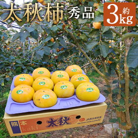 【ふるさと納税】太秋柿 秀品 約3kg 約8～14個 柿 果物 フルーツ 益城町産 熊本県産 九州産 送料無料【2025年10月下旬～11月下旬に発送予定】