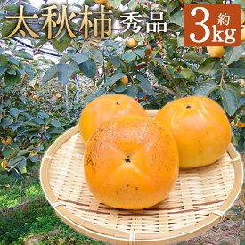【ふるさと納税】訳あり 太秋柿 約3kg 約8～14個 柿 果物 フルーツ ご家庭用 益城町産 熊本県産 九州産 送料無料【2026年10月下旬から11月下旬発送予定】