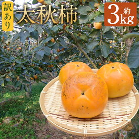 【ふるさと納税】訳あり 太秋柿 約3kg 約8～14個 柿 果物 フルーツ ご家庭用 益城町産 熊本県産 九州産 送料無料【2025年10月下旬～11月下旬に発送予定】