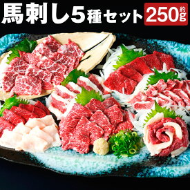 【ふるさと納税】馬刺し 5種 盛り合わせセット 5人前 約250g 約50g×5種類 セット 食べ比べ 馬刺し 馬肉 赤身 霜降り バラヒモ フタエゴ コウネ ブロック 熊本直送 冷凍 送料無料