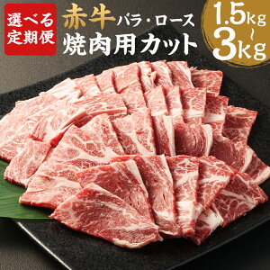 yӂ邳Ɣ[ŁzyIׂցzԋ ēp Jbg oE[X 500g 3/6  a Jbgς Ă F{Y BY Y Ⓚ  yVX[p[SALE 9J