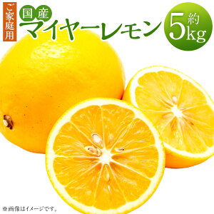 yӂ邳Ɣ[ŁzyƒpzY}C[ 5kg   EG  ʕ ʎ t[c k 񂫂 l[h nj[ F{Y Y B F{ v钬 