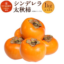 【ふるさと納税】シンデレラ太秋柿 1kg 大玉3玉 木箱入り 福馬果樹園 フルーツ 果物 国産 熊本県産 ギフト 贈り物 送料無料【2025年11月上旬～12月下旬発送予定】