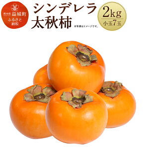 【ふるさと納税】シンデレラ太秋柿 2kg 小玉7玉 化粧箱入り 福馬果樹園 フルーツ 果物 国産 熊本県産 ギフト 贈り物 送料無料【2025年11月上旬〜12月下旬発送予定】