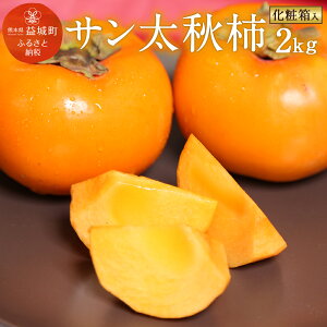 【ふるさと納税】サン太秋 約2kg 大玉5〜6玉 柿 太秋柿 かき カキ 果物 フルーツ 九州産 熊本 化粧箱 ギフト 贈り物 送料無料【2025年10月下旬〜12月上旬発送予定】