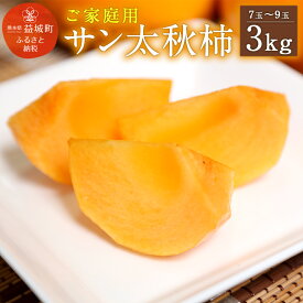 【ふるさと納税】家庭用 サン太秋 3kg 超大玉7〜9玉 段ボール箱 柿 太秋柿 かき カキ 果物 フルーツ 九州産 熊本 訳あり 予約受付 先行販売 送料無料【2025年10月下旬～12月上旬発送予定】