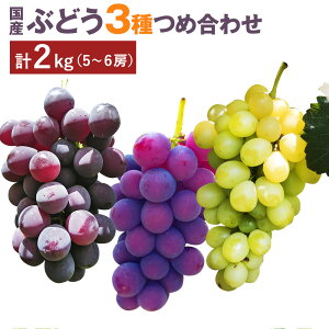 yӂ邳Ɣ[ŁzԂǂ3lߍ킹 v2kg 5`6[  C^A |NC[  t[c ʕ Y BY F{Y v钬Y y2025N9{`9{\z