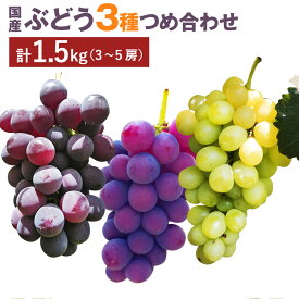 【ふるさと納税】ぶどう3種詰め合わせ 合計約1.5kg 3～5房 巨峰 イタリア 安芸クイーン 葡萄 フルーツ 果物 国産 九州産 熊本県産 益城町産 送料無料【2026年9月上旬～9月下旬発送予定】