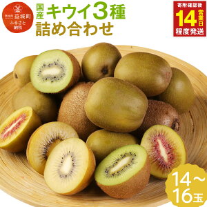 �y�ӂ邳�Ɣ[�Łz�y14�c�Ɠ��ȓ������z�L�E�C3��l�ߍ��킹 ��1.8kg ���v14�`16�� �w�C���[�h�L�E�C ���b�h�L�E�C �C�G���[�L�E�C �H�ה�� �t���[�c �ʕ� �F�{���Y �v�钬�Y �������� �y12��19