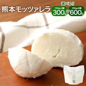【ふるさと納税】KUMAMOTOモッツァレラ 3個/6個 選べる内容量 1個100g チーズ モッツァレラチーズ フレッシュチーズ トッピング おつまみ 乳製品 冷蔵 送料無料